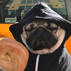 Meet your Posher, Jason